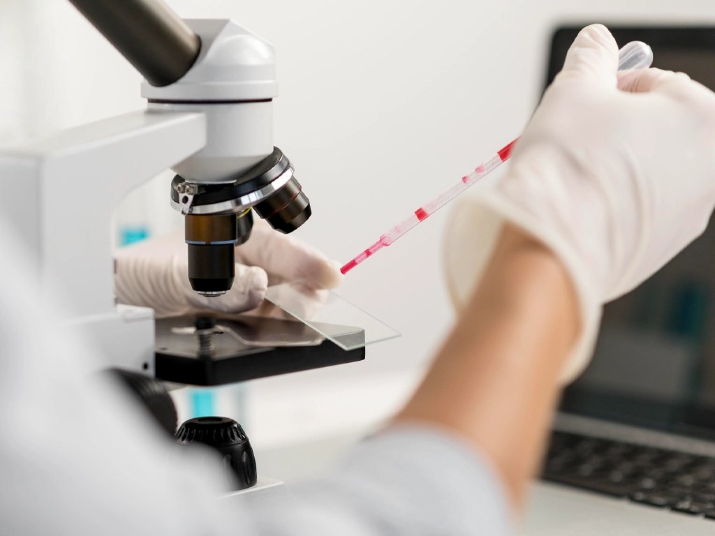 Biopsia de riñón: qué es, por qué puede ser necesaria y cómo prepararte paso a paso